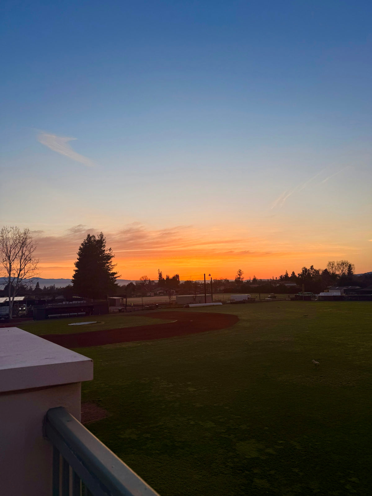 A youth baseball field at sunset