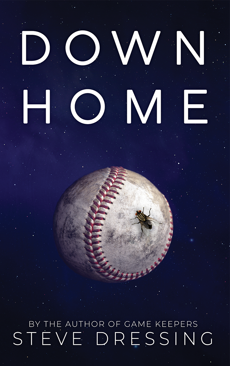 Down Home by Steve Dressing, cover
